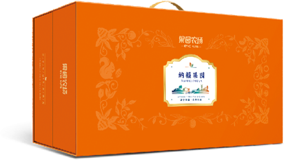 黔贵坊粽子